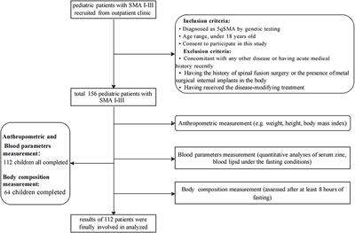 Association between serum zinc level and lipid profiles in children with spinal muscular atrophy